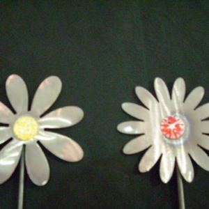 Flower with 8 or 14 petals